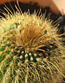 image_277303.png