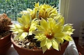 20190727_104117.jpg