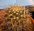 100_6987.jpg