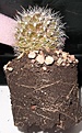 100_6990.JPG