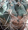 20210326_132932.jpg