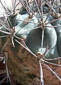 20210326_133001.jpg