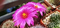 Нажмите на изображение для увеличения.

Название:	IMG_20210621_125257.jpg
Просмотров:	296
Размер:	115.7 Кб
ID:	497219