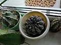 Нажмите на изображение для увеличения.

Название:	IMG_20211224_135751.jpg
Просмотров:	332
Размер:	171.8 Кб
ID:	508433