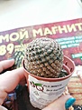Нажмите на изображение для увеличения.

Название:	IMG_20211225_143004.jpg
Просмотров:	346
Размер:	156.0 Кб
ID:	508447