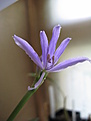 Нажмите на изображение для увеличения.

Название:	IMG_4863.jpg
Просмотров:	427
Размер:	143.0 Кб
ID:	512003