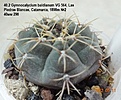 Нажмите на изображение для увеличения.

Название:	40.2 Gymnocalycium baldianum VG 564, Las Piedras Blancas, Catamarca, 1898m №2 40мм 290.jpg
Просмотров:	520
Размер:	178.1 Кб
ID:	512754