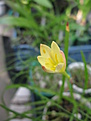 Нажмите на изображение для увеличения.

Название:	IMG_6233.jpg
Просмотров:	755
Размер:	154.6 Кб
ID:	515150