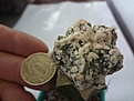 Нажмите на изображение для увеличения.

Название:	Astrophytum myriostigma cv Hakuyo Fukuryu 1200RUR 14,1EUR (ТО)  (200+1000).jpg
Просмотров:	1017
Размер:	113.4 Кб
ID:	523177