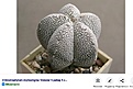 Нажмите на изображение для увеличения.

Название:	Screenshot_20240412-233527_Yandex.jpg
Просмотров:	216
Размер:	114.5 Кб
ID:	528472