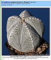 Нажмите на изображение для увеличения.

Название:	Screenshot_20240412-232648_Yandex.jpg
Просмотров:	208
Размер:	229.9 Кб
ID:	528474