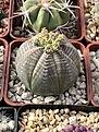 IMG_0804.jpg