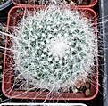 Нажмите на изображение для увеличения.

Название:	21.jpg
Просмотров:	212
Размер:	372.5 Кб
ID:	532201