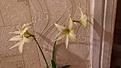 Нажмите на изображение для увеличения.

Название:	20240313_181126.jpg
Просмотров:	461
Размер:	171.5 Кб
ID:	533542