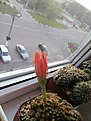 Нажмите на изображение для увеличения.

Название:	IMG_20250708_203959.jpg
Просмотров:	124
Размер:	143.8 Кб
ID:	539247