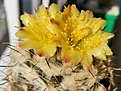 Нажмите на изображение для увеличения.

Название:	IMG_20250806_090621.jpg
Просмотров:	125
Размер:	187.1 Кб
ID:	539939