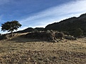 296 km Yécora - Cuauhtemoc, rancho de Von, Cebadilla, Sonora.